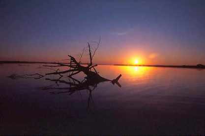SOL CALLADO